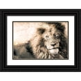 thumbnail image 1 of Seifinger, Toby 24x17 Black Ornate Wood Framed with Double Matting Museum Art Print Titled - Lion-King, 1 of 4