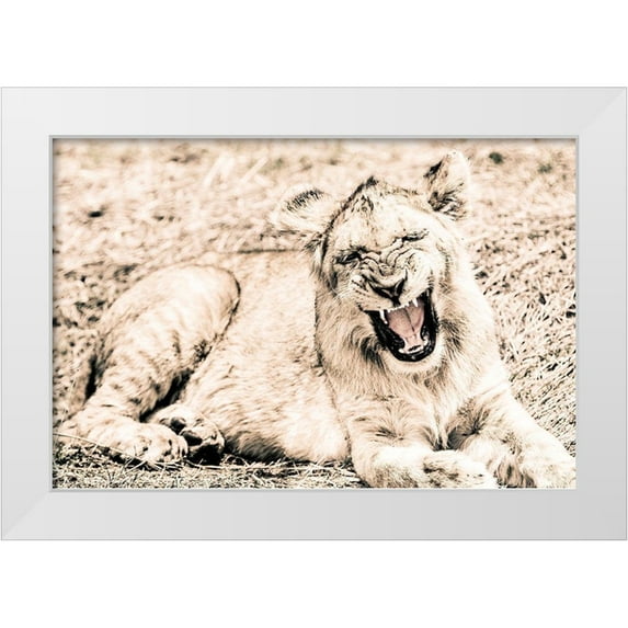 Seifinger, Toby 24x17 White Modern Wood Framed Museum Art Print Titled - Lion-Baby