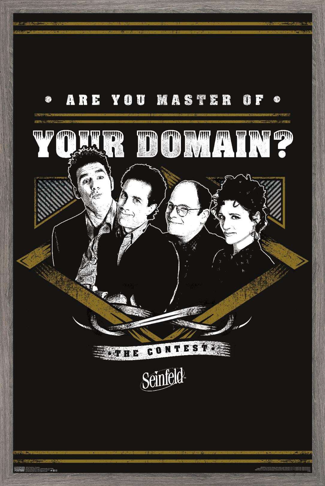 Seinfeld - Domain Wall Poster, 22.375" x 34", Framed