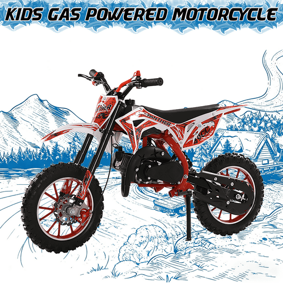 Seipouy 49cc Kid Dirt Bike,2-Stroke Gas Power Motocross Bike for Kids with Off-Rode Tire, Pocket Rocket Bike with Front Rear Disc Brakes, Off Road Mini Motorcycle, Racing Max Speed 40KM/H