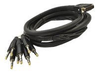 Seismic Audio DB25 to 8 Channel 1/4" TRS 8 Foot D-Sub Snake Cable Patch Bay Interface Modular - SA-DB8T8