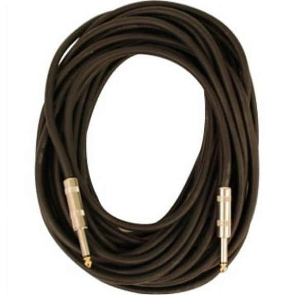 Seismic Audio FS35 1/4" to 1/4" Speaker Cable 35'