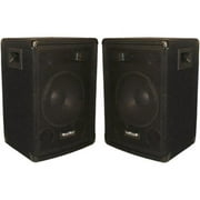 Seismic Audio Pro Audio SA-10 Indoor Stand Mountable Speaker, 100 W RMS, Black