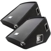 Seismic Audio Pro Audio SA-15MT 2-way Floor Standing Speaker, 300 W RMS, Black