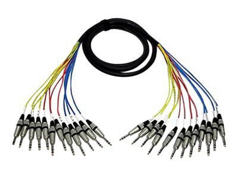 Seismic Audio NEW 12 CHANNEL TRS SNAKE CABLE -10 Feet Pro Audio Patch - SASRT-12x10