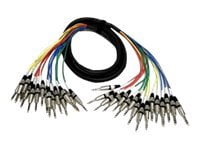 Seismic Audio NEW 16 CHANNEL TRS SNAKE CABLE -10 Feet Pro Audio Patch - SASRT-16x10