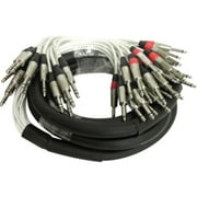 Seismic Audio SAST-12-24-15, 12 Channel Insert Snake 12 TS to 24 TRS 15 Feet