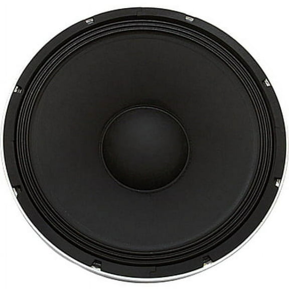 Seismic Audio Woofer, 250 W RMS, 500 W PMPO