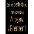 thumbnail image 1 of Seit ich perfekt bin, hÃ¤lt sich meine Arroganz in Grenzen!: kariertes Notizbuch mit 120 Seiten - 6x9 Zoll - Malbuch, Mal, (Paperback), 1 of 1