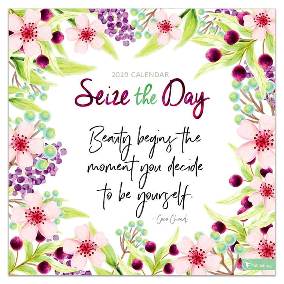 Seize the Day 2019 Wall Calendar (Other)