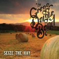 thumbnail image 1 of Seize the Hay, 1 of 1
