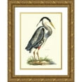 thumbnail image 1 of Selby, John 11x14 Gold Ornate Wood Framed with Double Matting Museum Art Print Titled - Great Blue Heron, 1 of 4