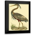 thumbnail image 1 of Selby, John 12x14 Black Modern Framed Museum Art Print Titled - Small Purple Heron, 1 of 5