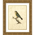thumbnail image 1 of Selby, John 25x32 Gold Ornate Wood Framed with Double Matting Museum Art Print Titled - Selby Birds II, 1 of 4