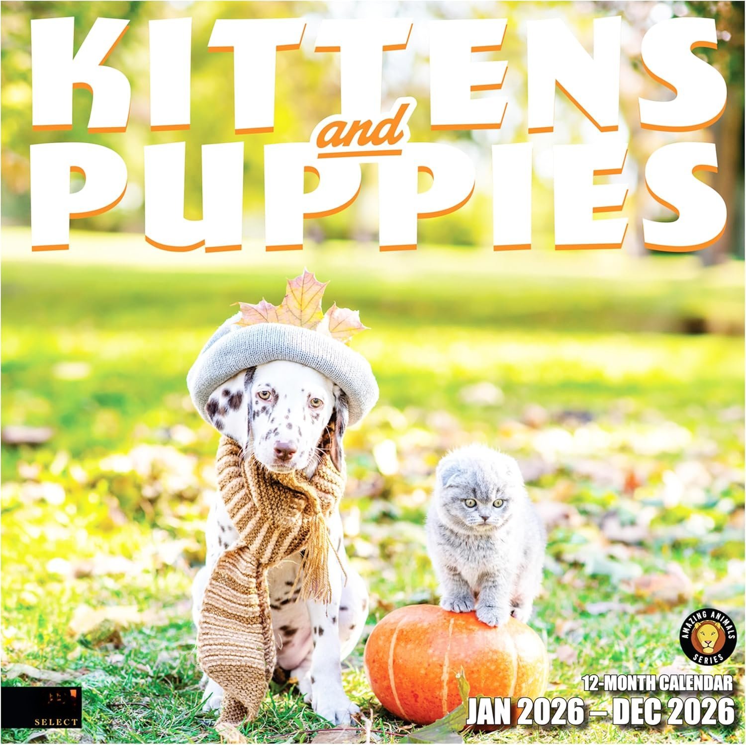 Select - Kittens & Puppies 2026 Wall Calendar 12 Month | 12" x 24" Open ...