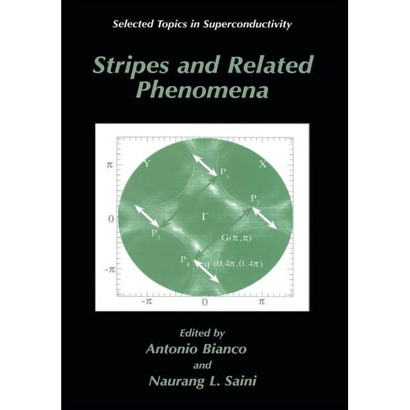 Selected Topics in Superconductivity Stripes and Related Phenomena, (Paperback)