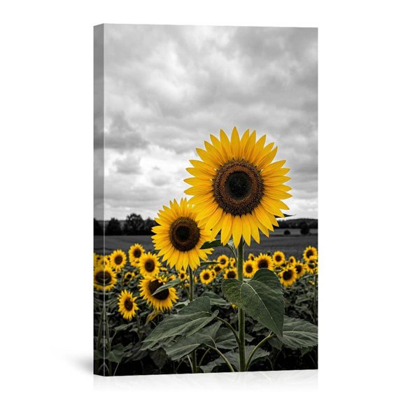 Selective Color Sunflower Field Landscape For Home Living Room Canvas