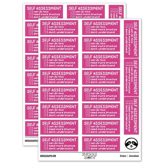Self Assessment Teacher Student School Sticker Set - Hot Pink - Matte Finish - 2.00" Large