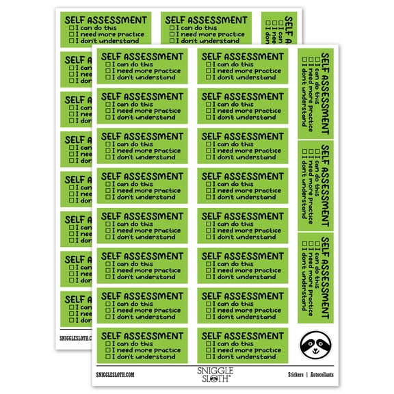 Self Assessment Teacher Student School Sticker Set - Light Green - Matte Finish - 2.00" Large