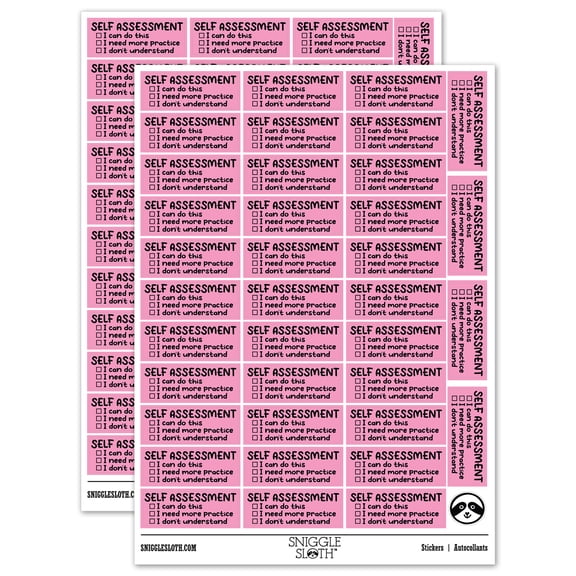 Self Assessment Teacher Student School Sticker Set - Light Pink - Matte Finish - 1.5" Small