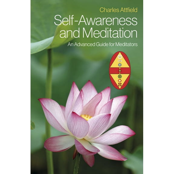 Self-Awareness and Meditation : An Advanced Guide for Meditators (Paperback)