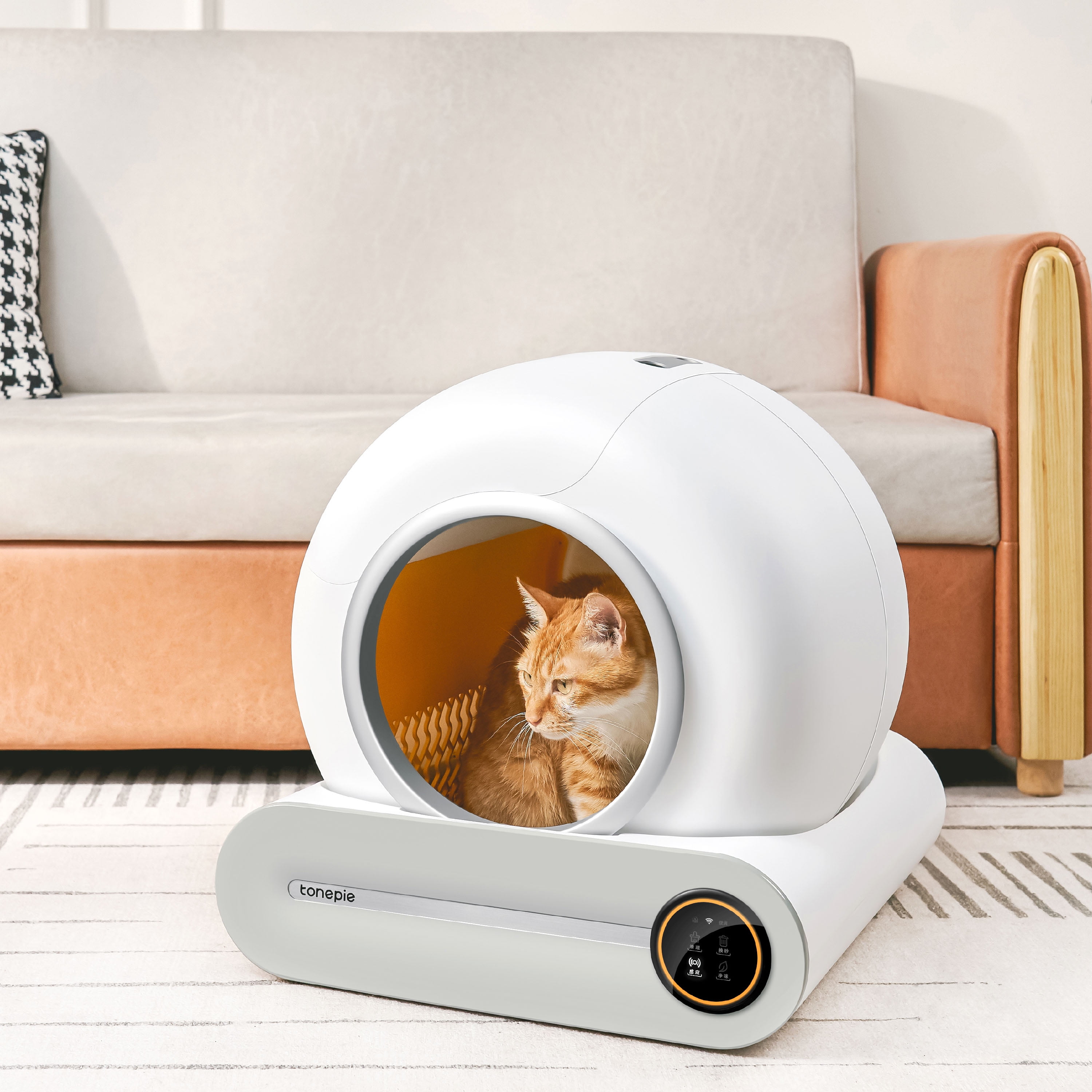 Kitty litter cleaner hot sale