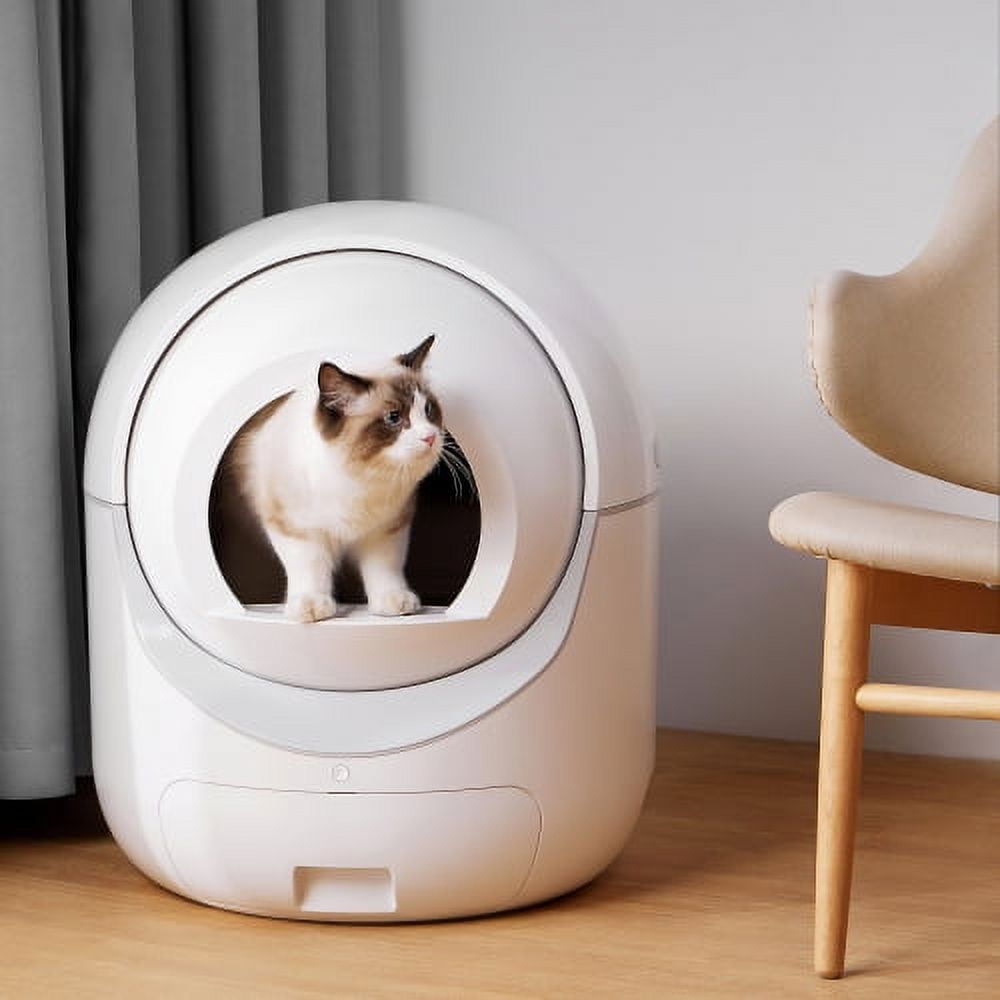 Cat litter box outlet for two cats