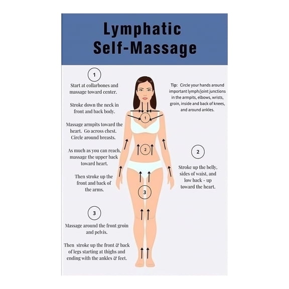 Self Lymphatic Massage Guide Poster Anatomical Drainage Chart with Step by Step Instructions for Healthy Circulation and Relaxation Wellness Wall Art for Living Room