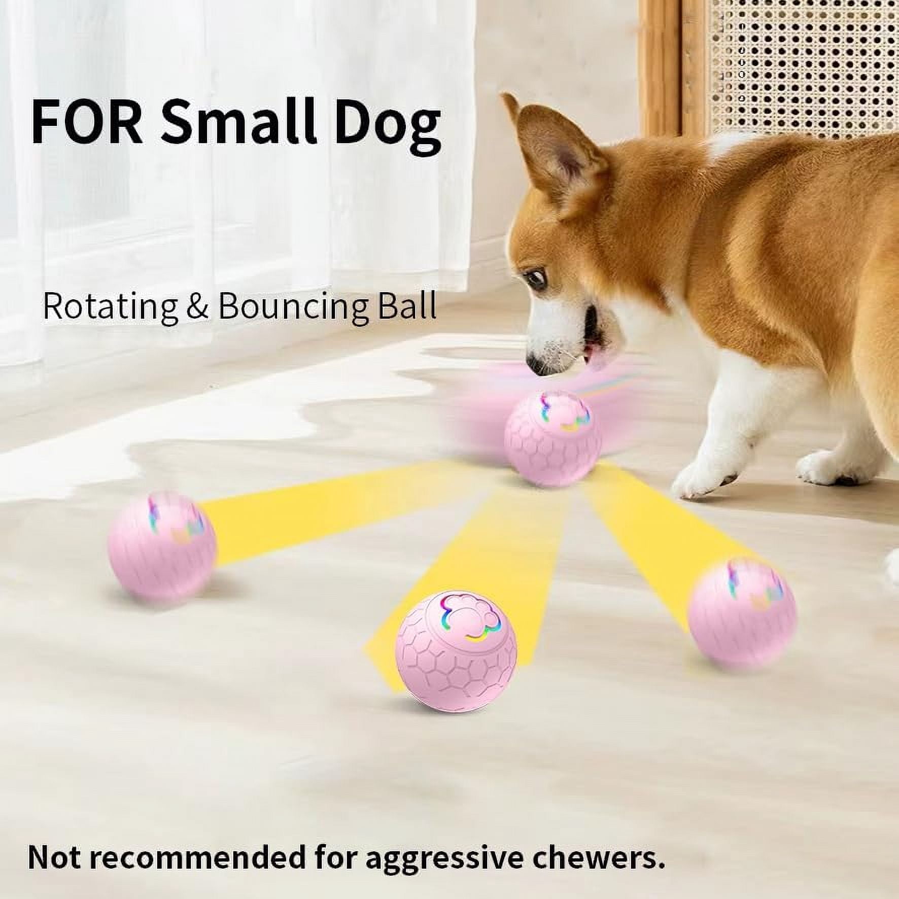 Self Moving Balls For Dogs, Smart Interactive Dog Toys Ball, Activated Rolling Ball for Dogs - Durable USB Rechargeable Dog Toy for Puppies, Small, and Medium Dogs, Fun Gift for Boredom(Orange)