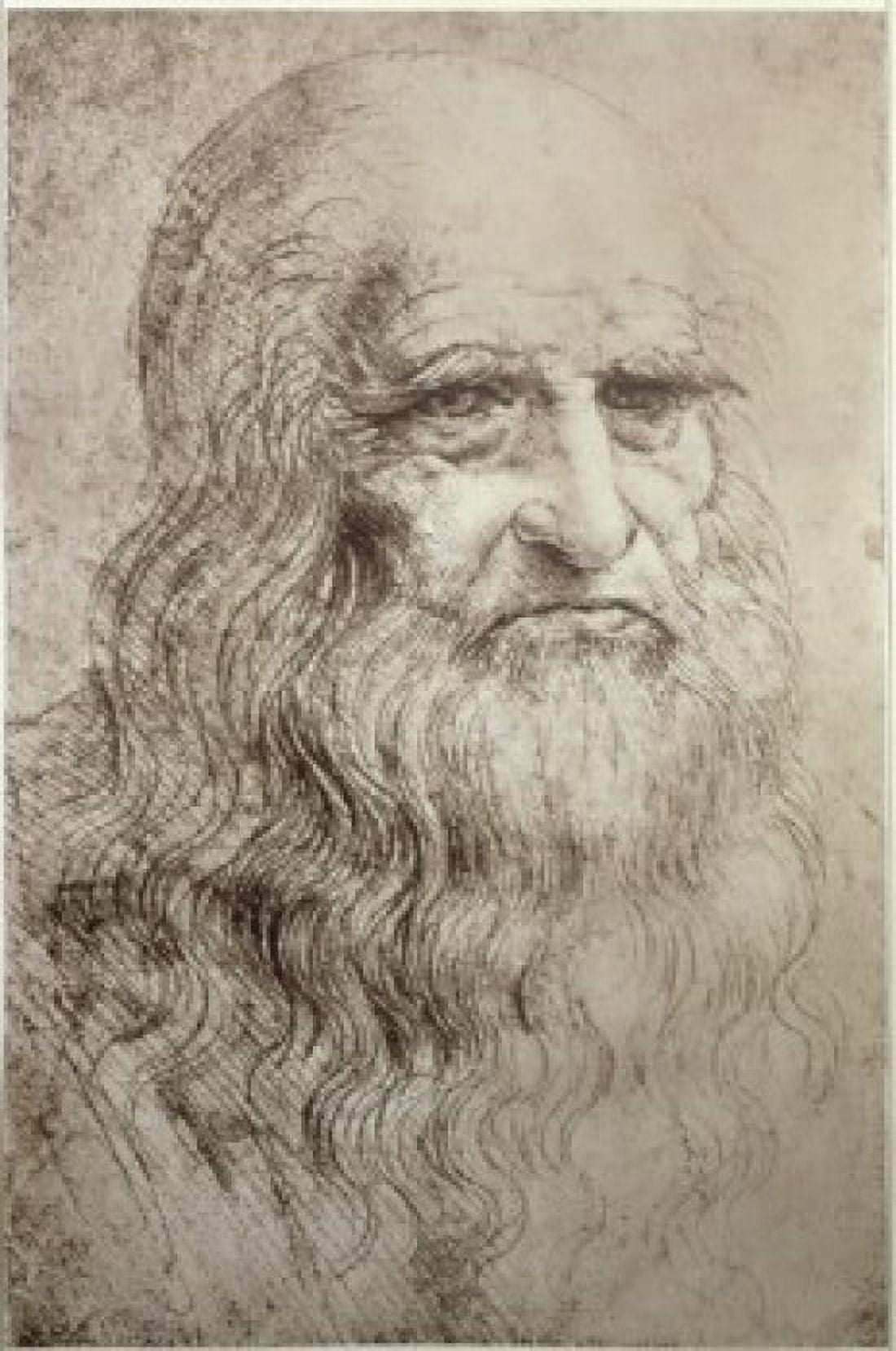 Self Portrait in Old Age ca1512 Leonardo da Vinci (1452-1519 Italian) Chalk and ink Biblioteca Reale Turin Italy Canvas Art - Leonardo da Vinci (18 x 24)