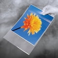 thumbnail image 1 of Self-Sealing Photo Art Bags 4x6 by Lineco  pkg of 100  - 4x6, 1 of 1