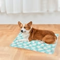 thumbnail image 1 of Self-Warming Pet Mat, Thickened Fleece Heating Pad for Cats and Dogs, Machine Washable Thermal Sleeping Bed, 19.68x15.74 Inch, 1 of 6