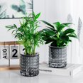 thumbnail image 1 of Self-Watering Flower Pots 4.5 Inch Clear Automatic Water Absorbing Plastic Flower Pots Round Hydroponic Plant Pots for All Plants, Succulents, Herbs, African Violets 2 Pieces, 1 of 7