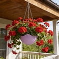 thumbnail image 1 of Self-Watering Hanging Planter with Drainage Holes & Metal Chain Plastic Flower Pot Indoor Outdoor Hanging Container for Plants Herbs Succulents Garden Decor,Purple, 1 of 6