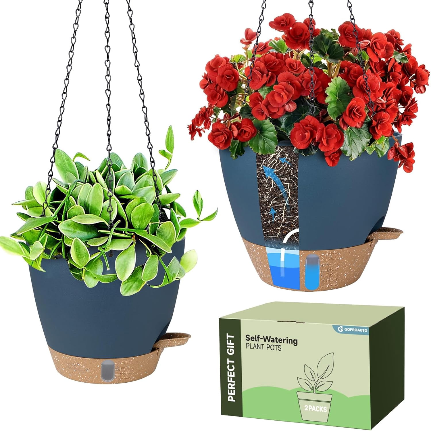 golden devil's ivy pothos epipremnum Devil's Ivy main image 1