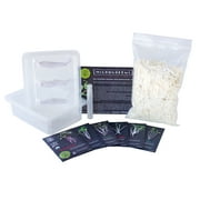 Self Watering Microgreens Kit - Hydroponic - Grow Micro Greens Without Soil - Easy Growing - Fun to Eat - Grow Rambo Radish, Basic & Spicy Salad Mix, Broccoli, Red Tatsoi & China Rose Radish
