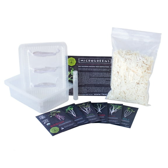 Self Watering Microgreens Kit - Hydroponic - Grow Micro Greens Without Soil - Easy Growing - Fun to Eat - Grow Rambo Radish, Basic & Spicy Salad Mix, Broccoli, Red Tatsoi & China Rose Radish