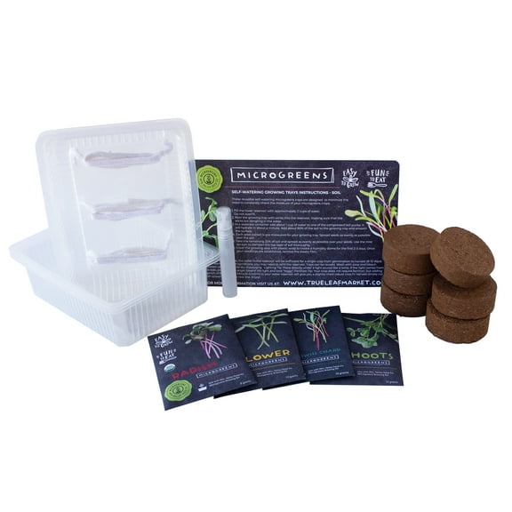 Self Watering Microgreens Kit - Soil Based - Grow Micro Greens In Soil - Easy Growing - Fun to Eat - Grow Sunflower, Speckled Pea, Rainbow Swiss Chard & Cilantro