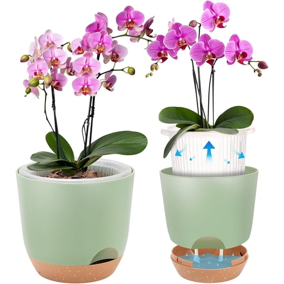 Self Watering Orchid Pots for Indoor Plants,5.8 Inch Macetas para Orqudeas,Flower Pots for Indoor Plants with Holes(Green)