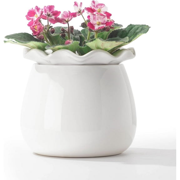 Self Watering Plant Pot, 6 Inch African Violet Pots Maintenance, Ceramic Self-Watering Planter for Indoor Plants - Ideal Flower Pot for Thriving Indoor Gardens