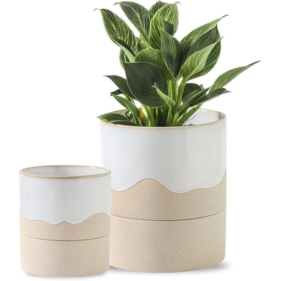 Self Watering Plant Pot for Indoor Plants: 4.5+6 Inch Ceramic Planter with Drainage Hole & Water Storage Plus - Cylinder Flower Pot with Wick for Herbs -White & Nature