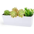 thumbnail image 1 of QZS Self Watering Plant Pots,12x3.8x4.6In Trapezoid-Shaped Succulent Planter,White Plastic Planters Flower Boxes Pots for Garden,Home Decor, 1 of 1