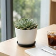thumbnail image 1 of Self Watering Plant Pots with Removable Saucer, 3.3 Inch Small Plastic Planter for Indoor Plants, Succulents, Herbs, Home Office Desk Decor, 1 of 6