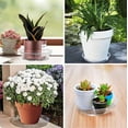 thumbnail image 1 of Self-Watering Plant Saucer Tray | 12 Inch Round Plastic Pot Tray | Clear Water Catcher Base for Indoor & Outdoor Planters | 5-Pack, 1 of 4