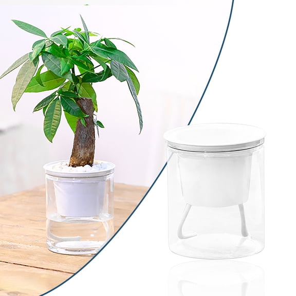 Self Watering Planter, Automatic Water Absorbing Flower Pot Transparent Flat Bottom For Indoor Green Plants Home Office And Desktop Gardening Decoration