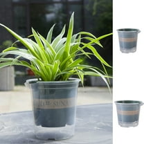 Self Watering Planter, Clear Plastic Automatic Plant Pot, 6.5 Inch Indoor Flower Pot for Succulents Herbs,Vsgery