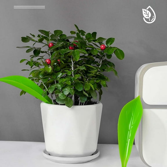 Self Watering Planter Insert for Plants with Adjustable Flow and Drip-Free Design for Easy Plant Care and Healthy Growth for Indoor and Outdoor Potted Plants