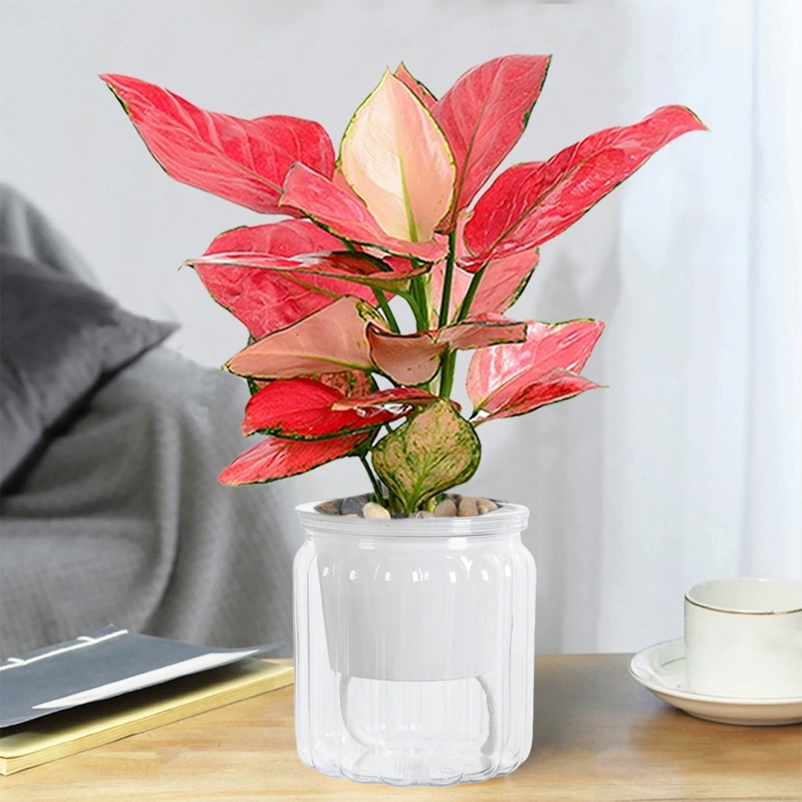 Self-Watering Planter Pot with Visible for Indoor, Low Maintenance Plant Container for Desktop Decor Water Storage System for Plant Growth Home Gardening