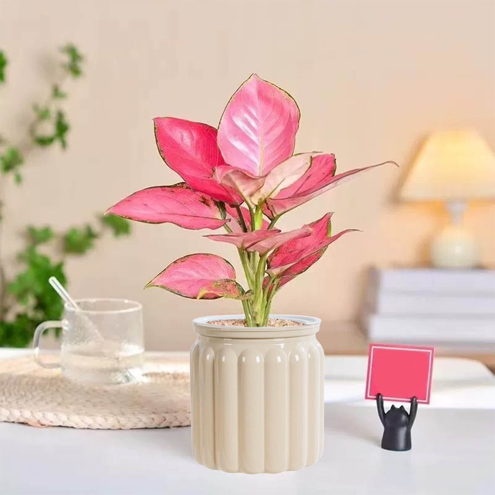Self-Watering Planter Pot with Visible for Indoor, Low Maintenance Plant Container for Desktop Decor Water Storage System for Plant Growth Home Gardening