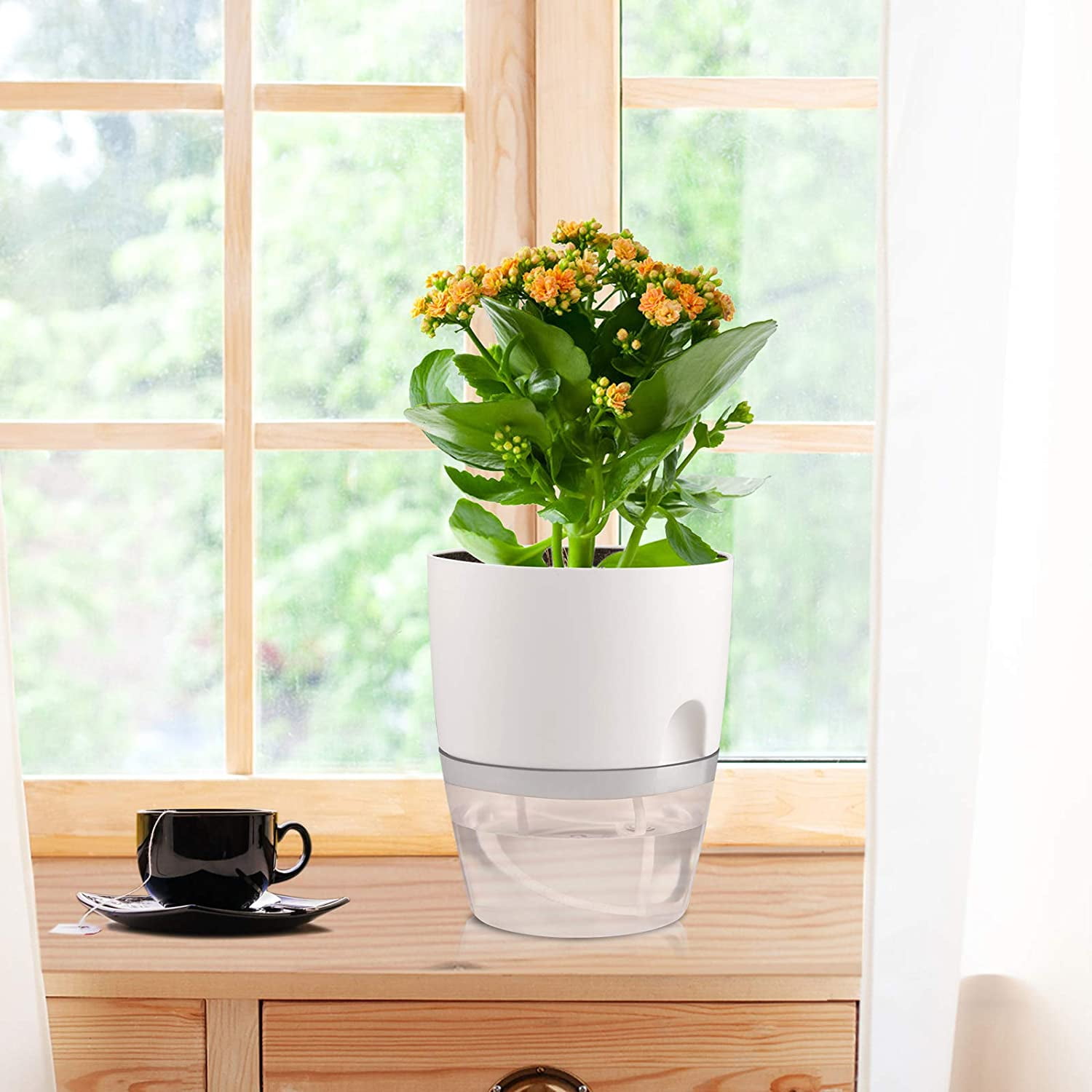 Self Watering Planter Pots for Indoor Plants, 6 Inch African Violet ...